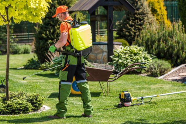 Lawn Pest Control in Marine City, MI